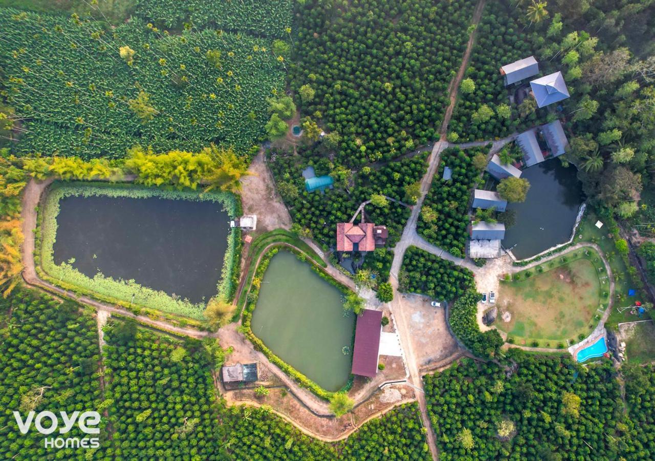 Niyatma Wayanad Pool Resort By Voye Homes Buitenkant foto