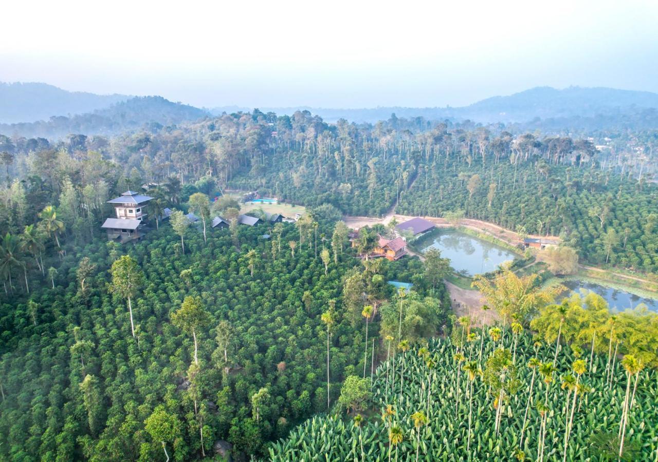 Niyatma Wayanad Pool Resort By Voye Homes Buitenkant foto